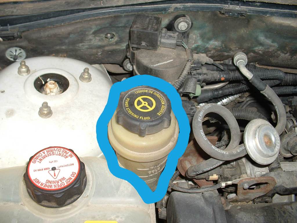 Where Is the Steering Fluid Reservoir Located