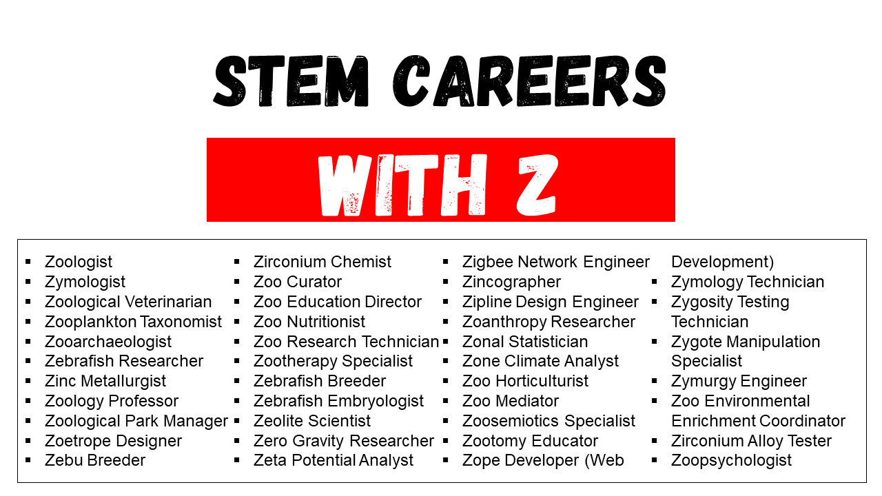 Engineering Career That Starts with Z
