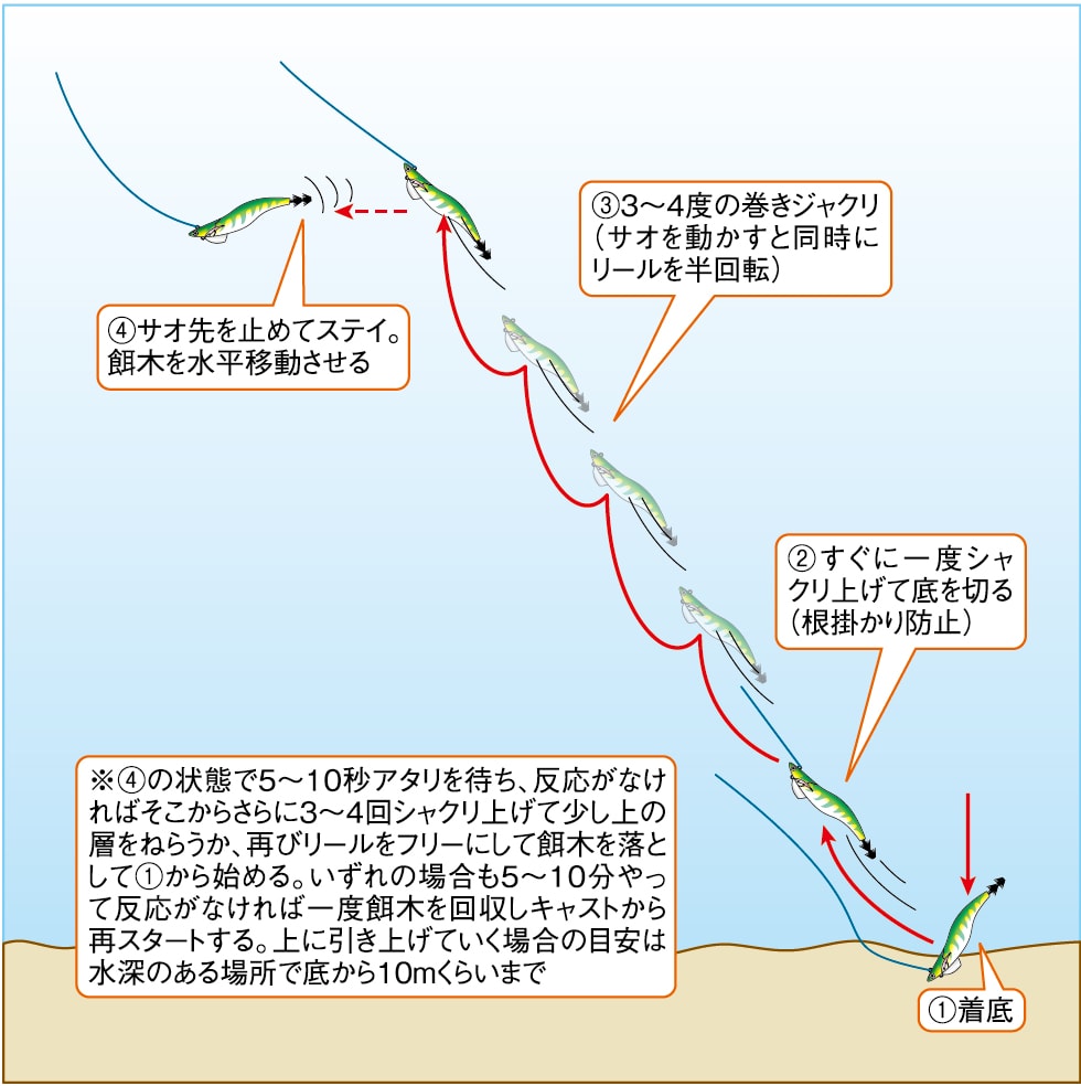 エギングのシャクリ方完全攻略！釣果激変のコツとNg行動