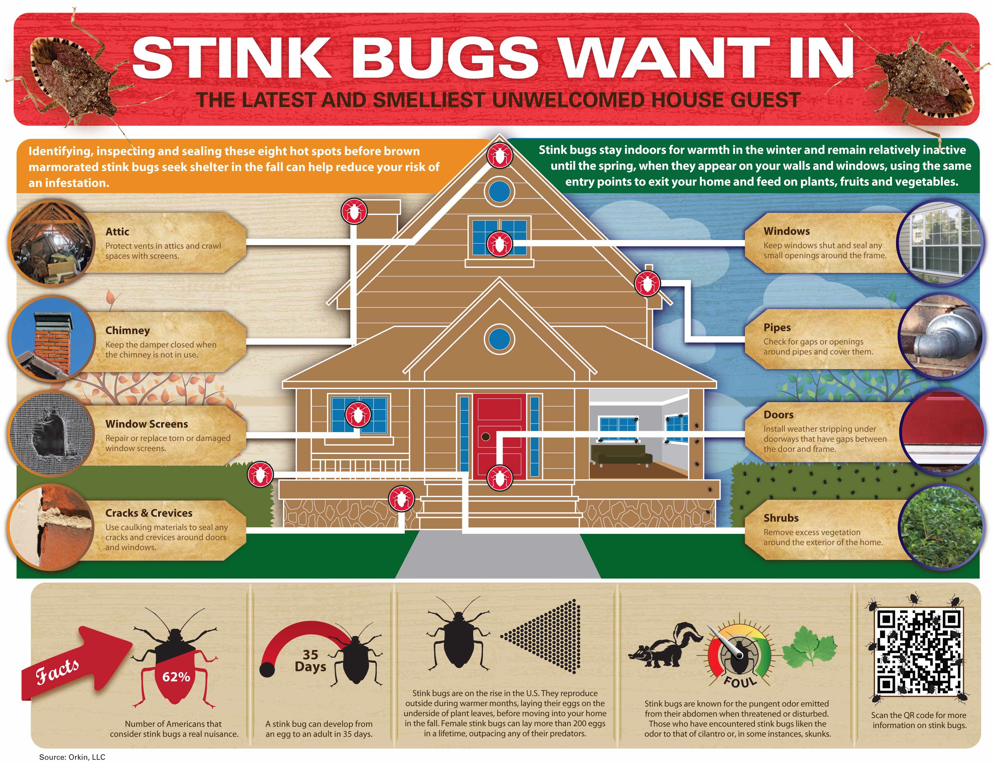 How Do Insects Get in the House