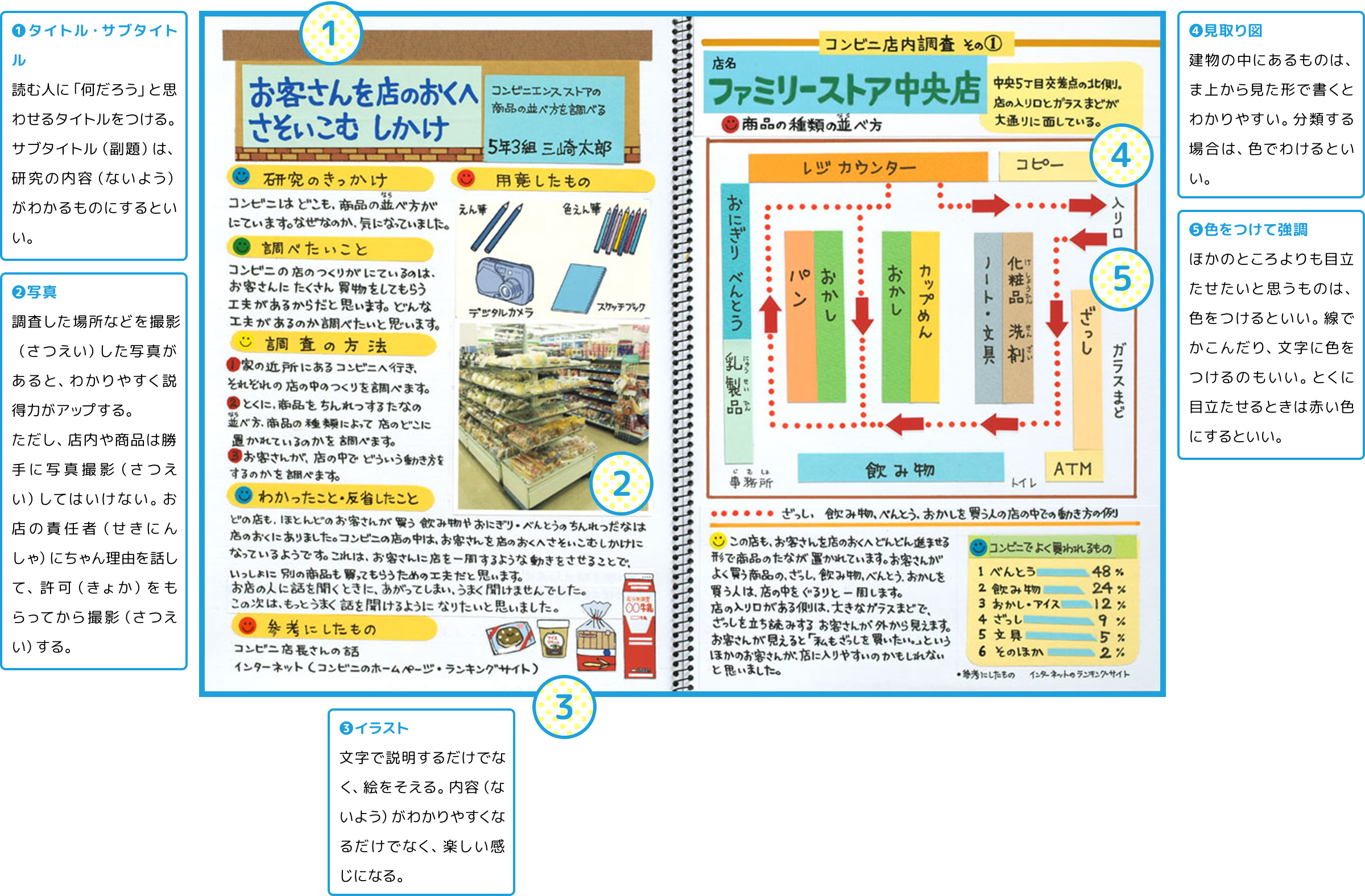【2026最新】自由研究の書き方完全攻略！評価が劇変するまとめ方の極意