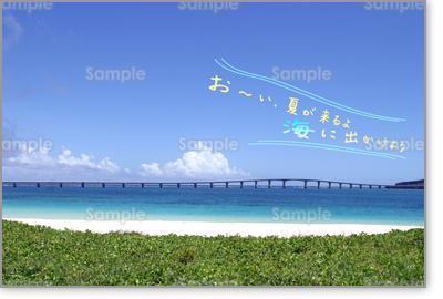 【経歴】 夏 が 来る から 海 へ 行 こう よ 話題のSns投稿まとめ 2026 #655