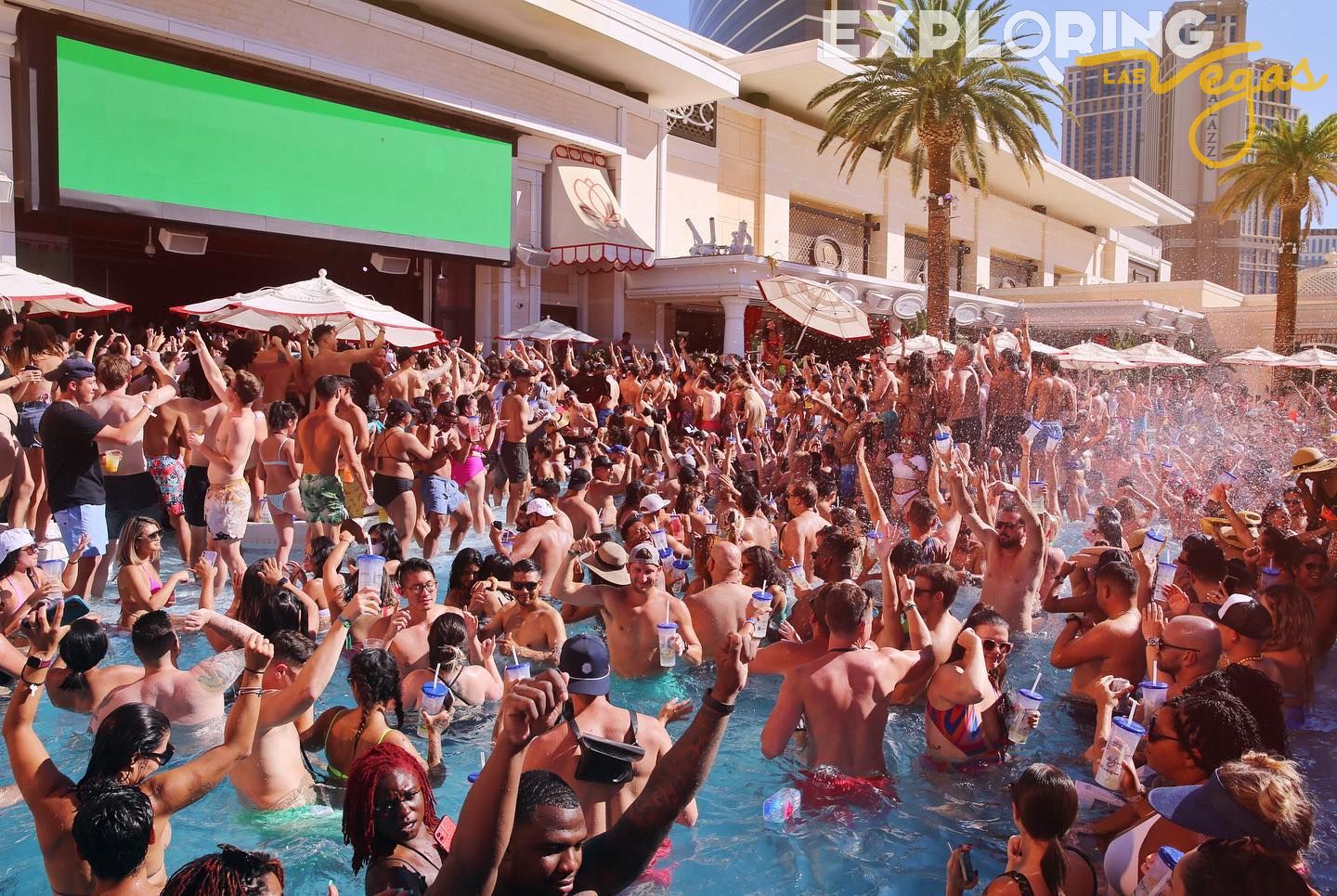 Bag Policy Encore Beach Club