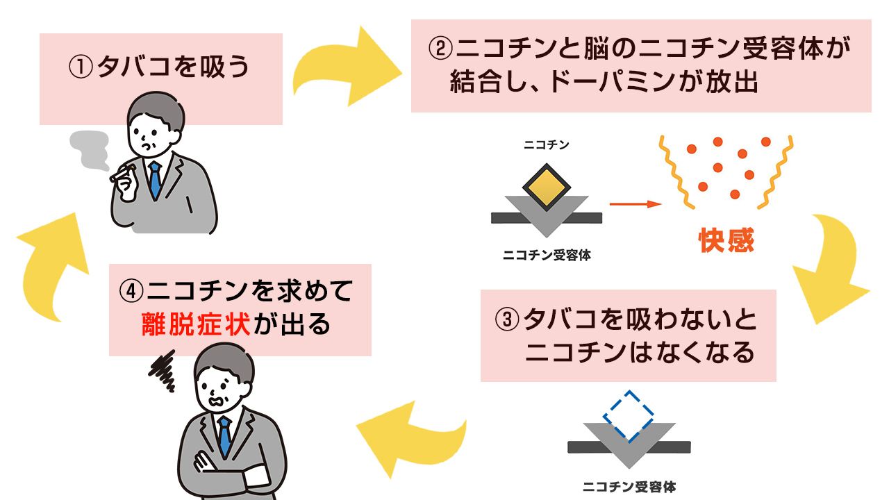 離脱症状とは？心身の危険なサインとピーク時期・安全な治し方