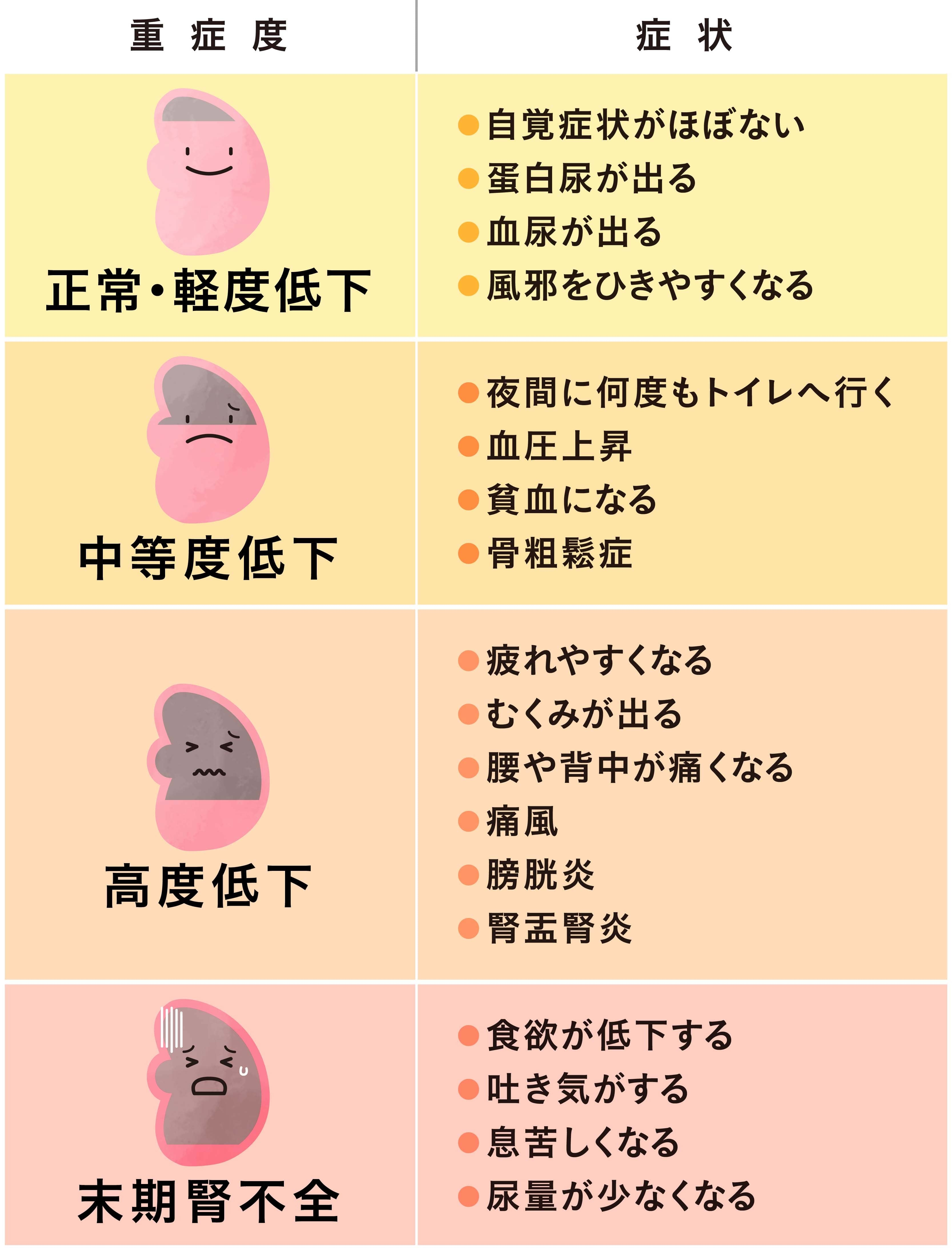 健診の尿蛋白プラスは水分不足？脱水の真相と再検査の見極め方