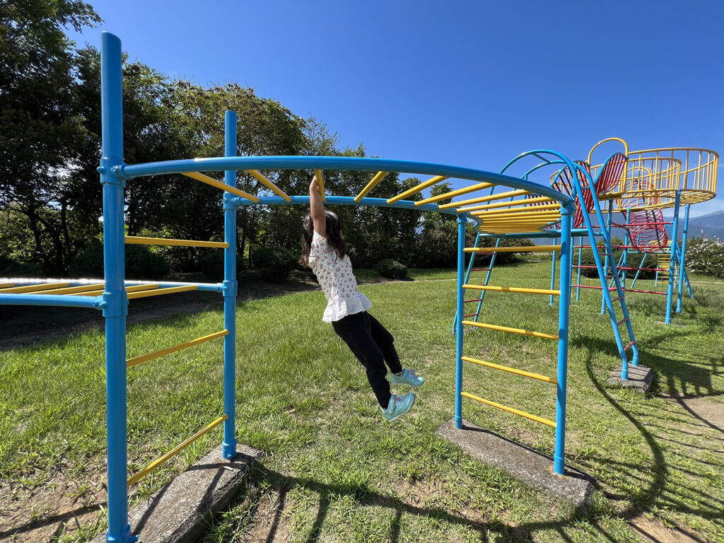 なぜうんていのある公園が再燃？劇的成長の秘密と全国名所を徹底調査