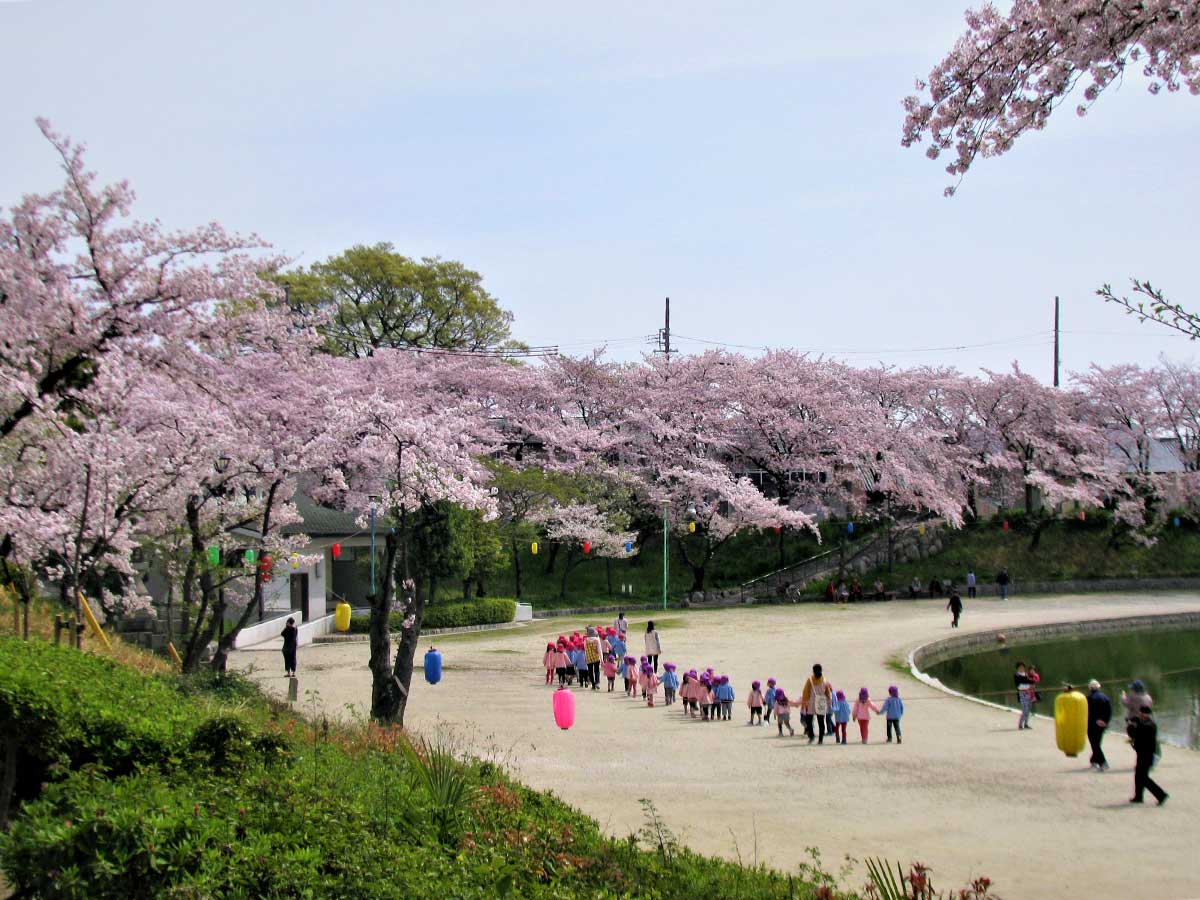 津島市は本当に住みやすい？名駅直通の穴場と噂される理由を徹底解剖