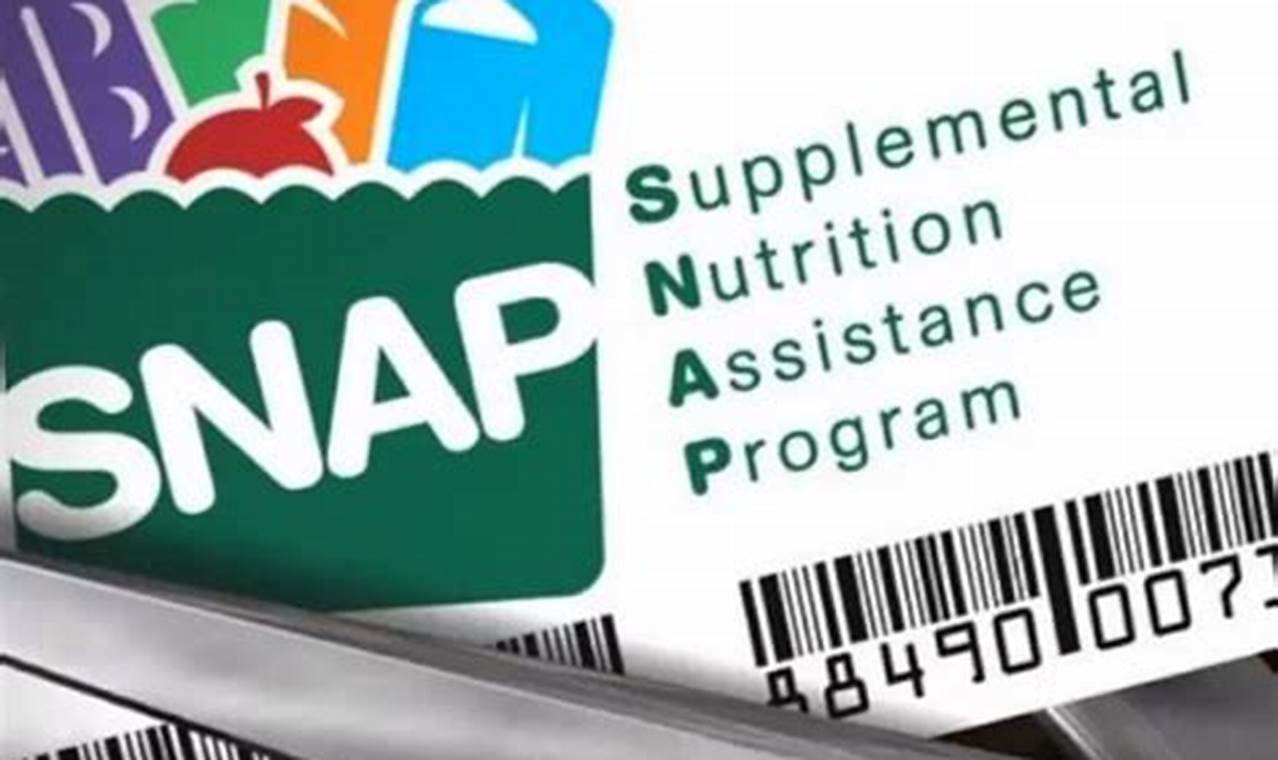 Louisiana Snap Food Stamp Program