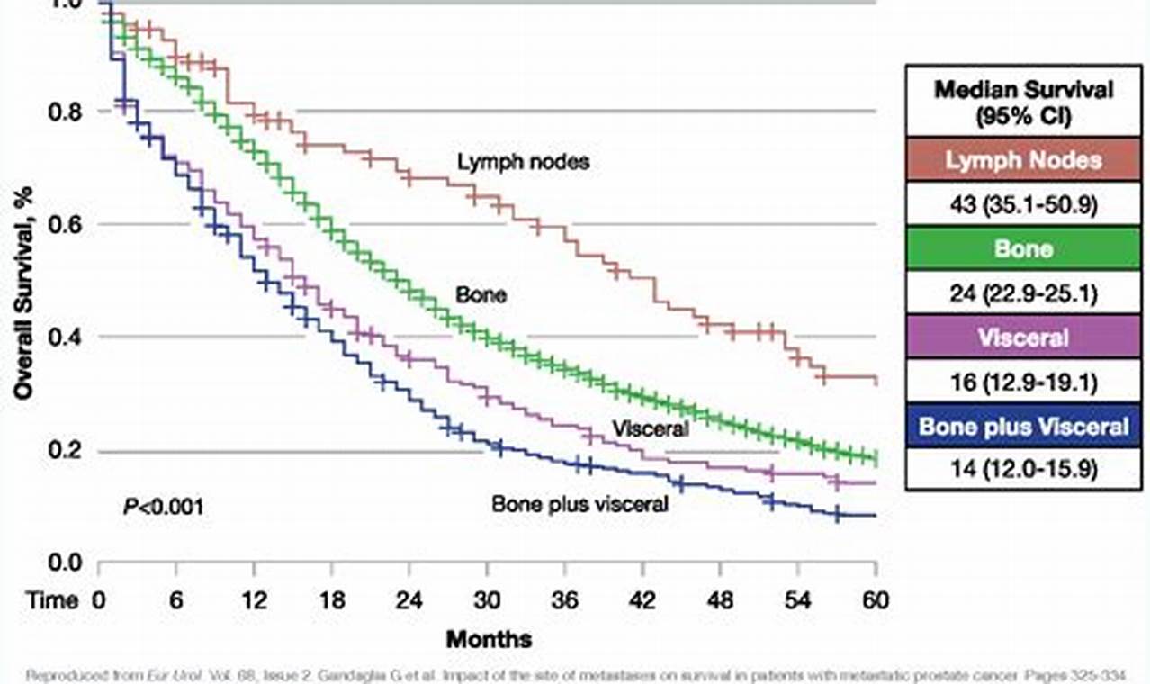 Life Expectancy After Cyberknife