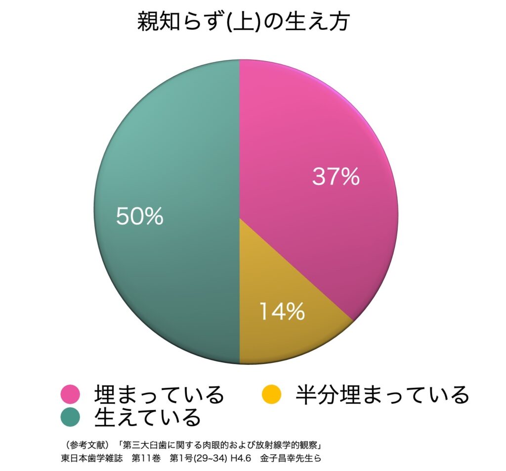 親知らずを抜かない人の割合は？一生残せる3割の特徴と放置リスク