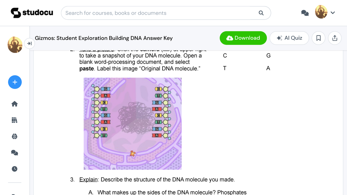 Gizmos Student Exploration Building Dna Answer Key