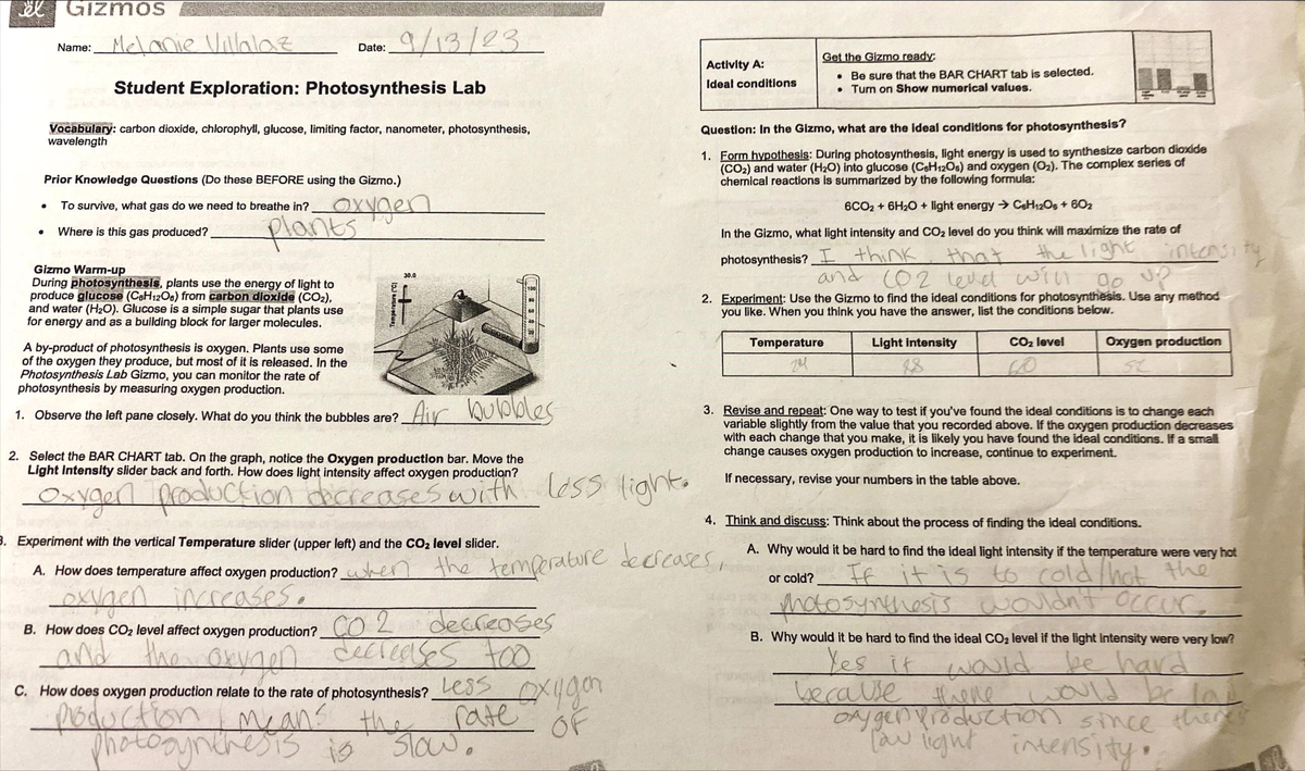 Student Exploration Photosynthesis Lab Answer Key