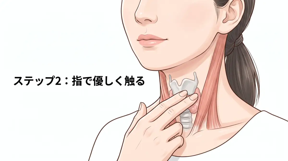 甲状腺の腫れ見分け方を画像解説！首のしこりとリンパの違い【2026】