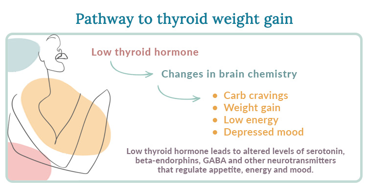 Does Hypothyroidism Make You Gain Weight