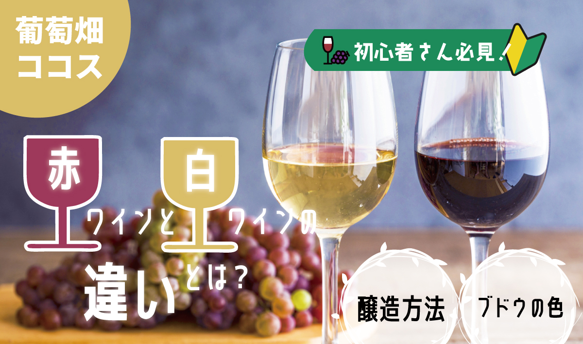 赤ワインと白ワインの決定的な違いとは？製法・味・健康効果の真相