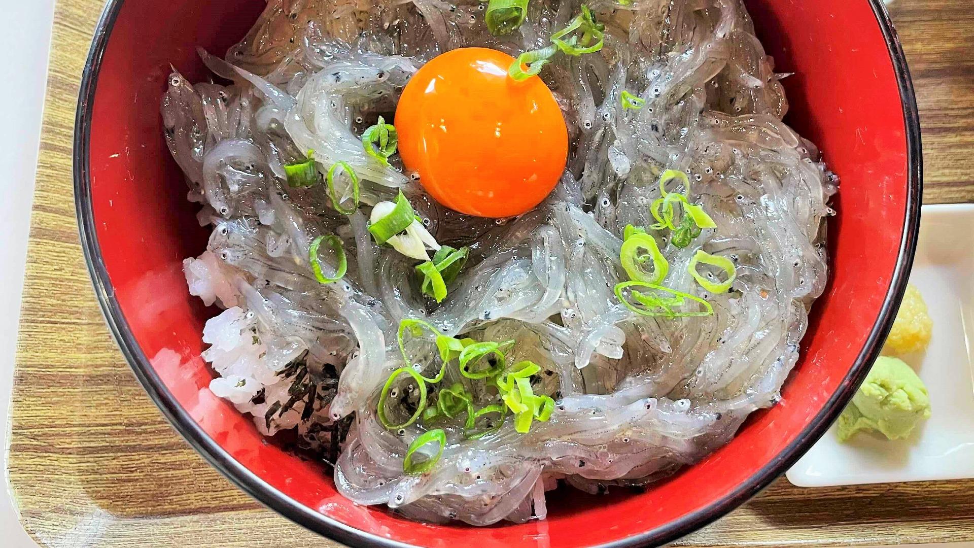 和歌山しらす丼の名店と穴場を徹底比較！旬と禁漁期の真実
