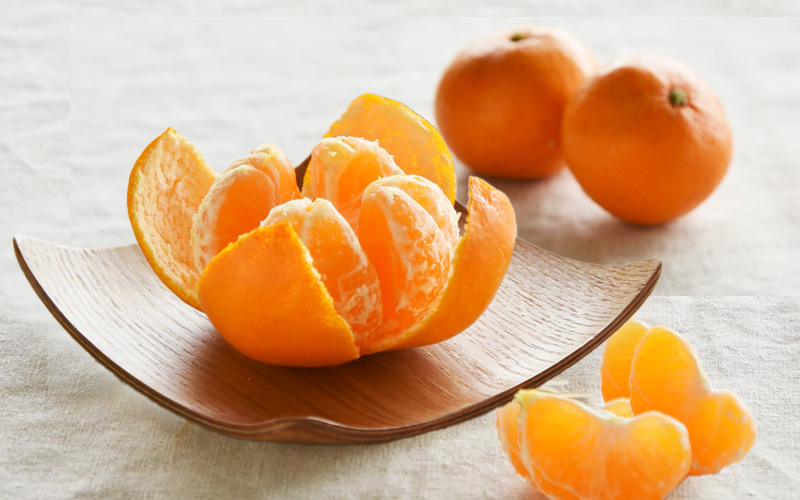 昭和の女優が誇る奇跡の美貌と壮絶な私生活｜2026年現在の姿