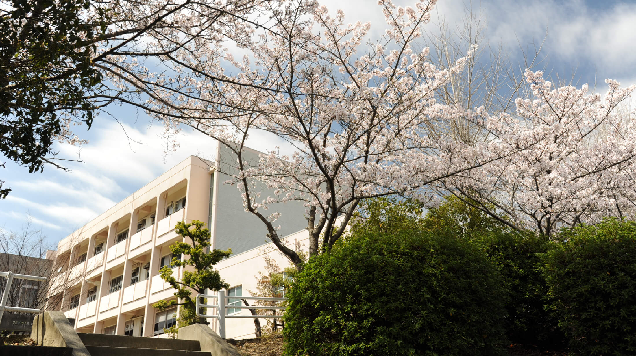 千里高校の偏差値と進学実績の真相！自由な校風と入試倍率の全貌