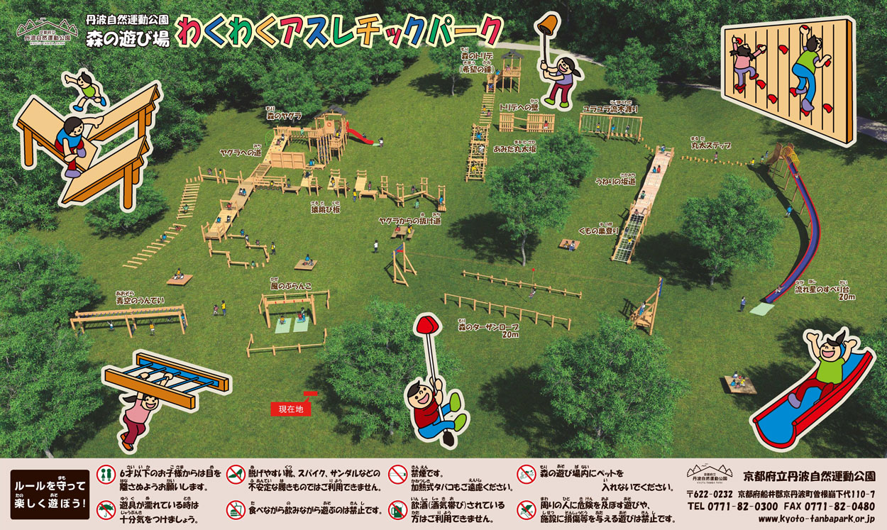 丹波自然運動公園2026完全ガイド！遊具やプール料金と混雑回避術