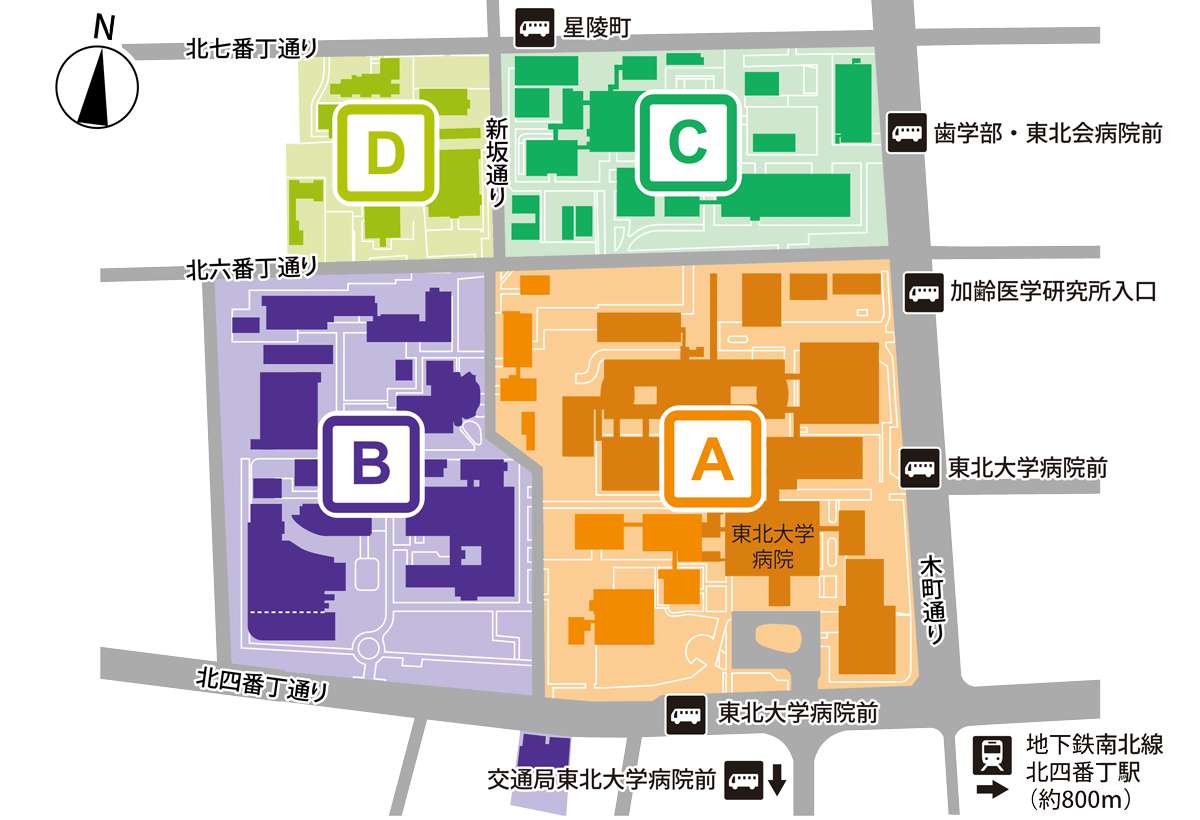 【2026年最新潮流】空前の原点回帰！なぜ今、名店「味噌 一」の熱々濃厚ラーメンに世代を超えた行列が絶えないのか？