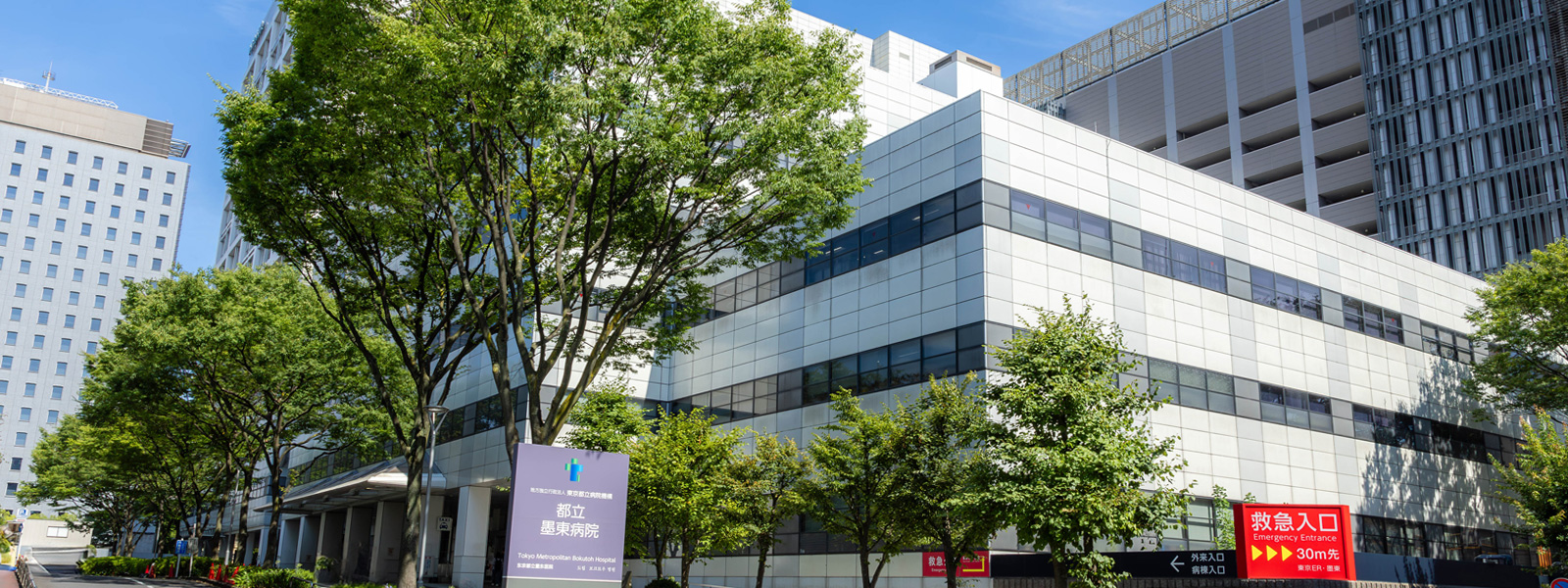 【現場ルポ】24時間眠らない東東京の砦「墨東病院」が挑む医療改革—次世代救急と地域医療のリアル