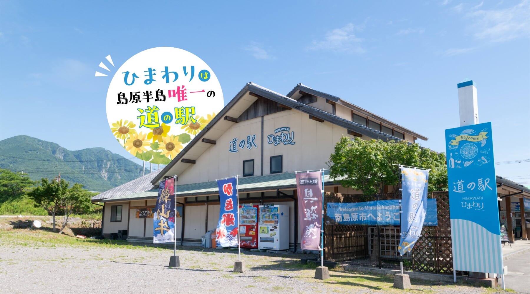 【2026最新】道の駅ひまわりの魅力解剖！見頃と温泉・車中泊の実態