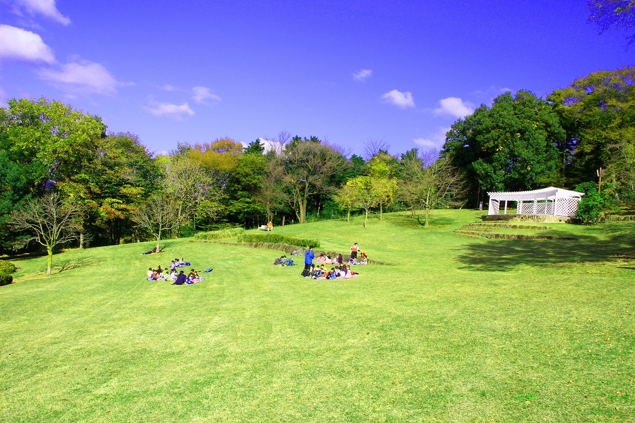 七沢森林公園の真実【2026】Bbq予約とヤマビル対策の決定版