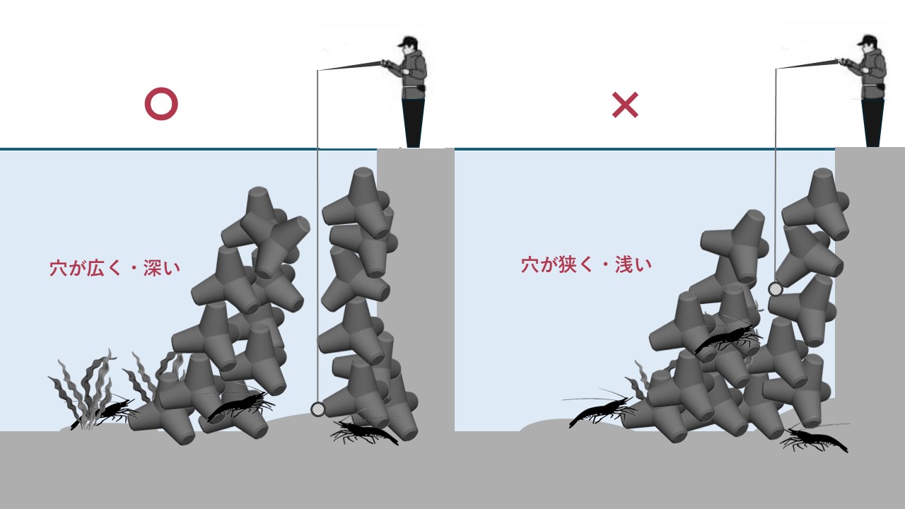 伊勢海老釣り仕掛け完全攻略！自作胴突きと合法エリアで釣果を倍増