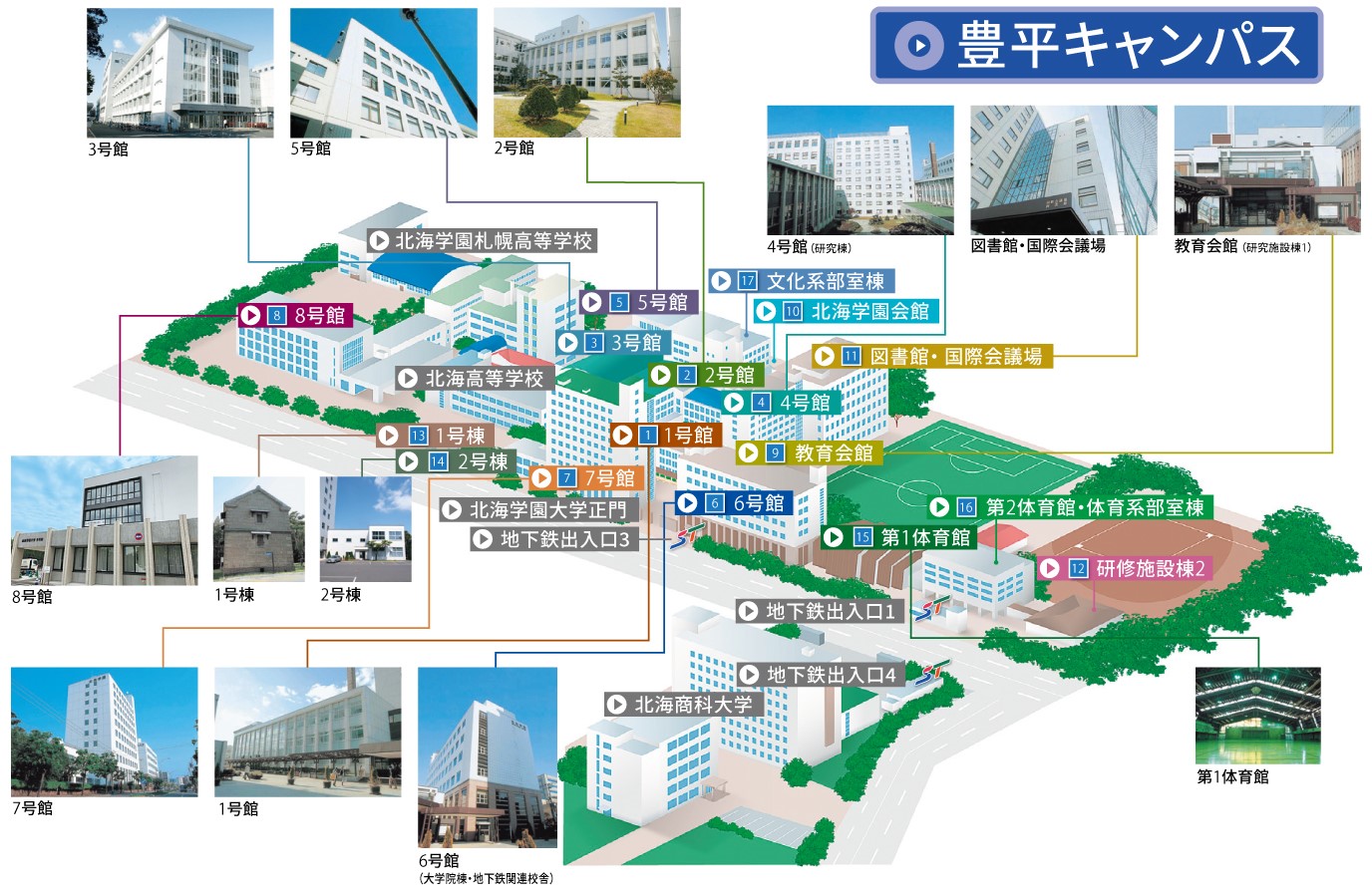 北海学園大学が道内就職で無類の強さを誇る理由と最新偏差値の真実