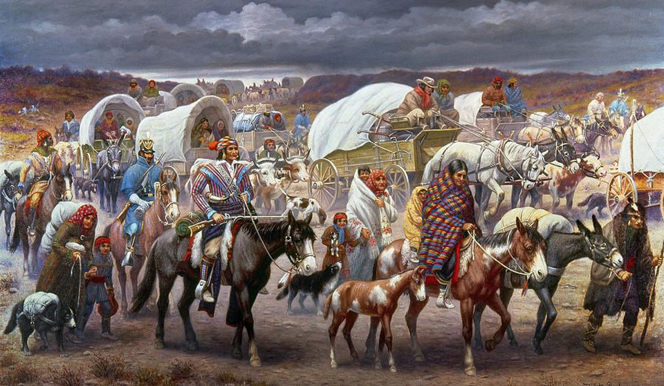What Cause the Trail of Tears