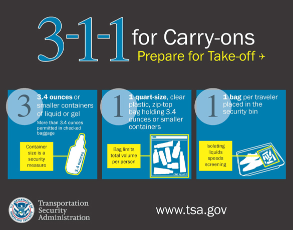 Tsa Rules for Carry On