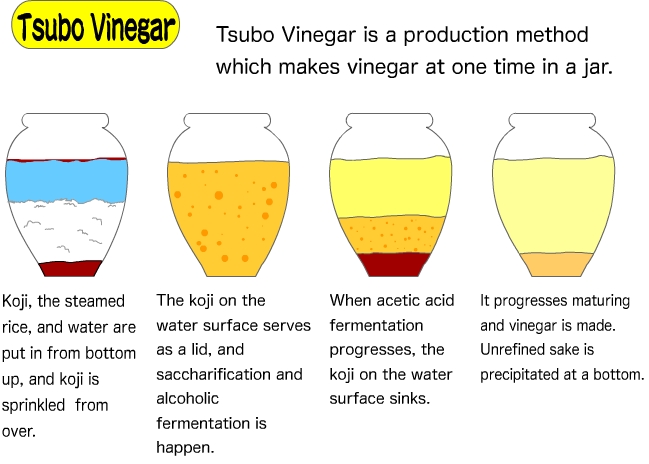 What Is Inside Vinegar
