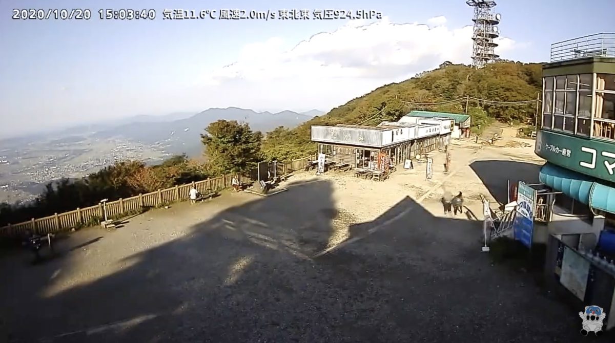 筑波山ライブカメラ現在の状況は？山頂の富士山・雲海と積雪を徹底追跡