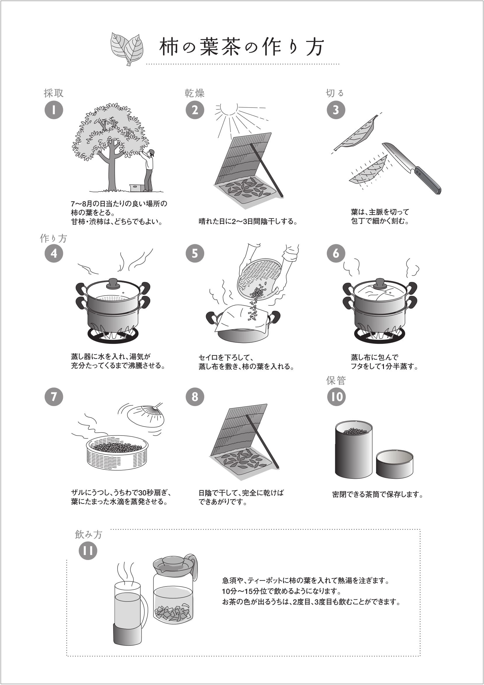 柿の葉茶の作り方を徹底解説！蒸し時間と乾燥でビタミンCを保つ秘訣