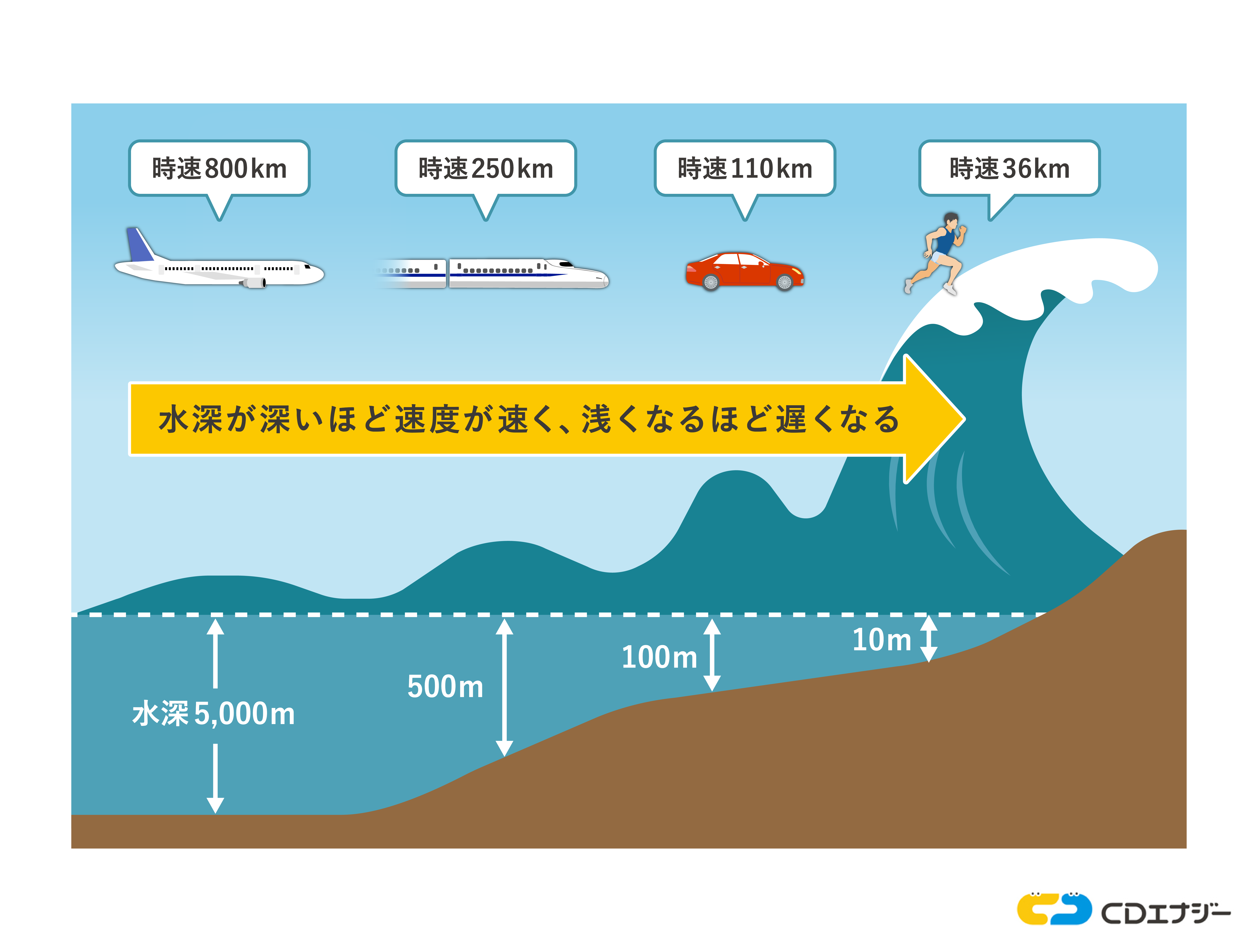 「たった1M」が生死を分ける。最新観測データが警告する「1メートルの津波」の真の破壊力と、2026年現在の避難リアル