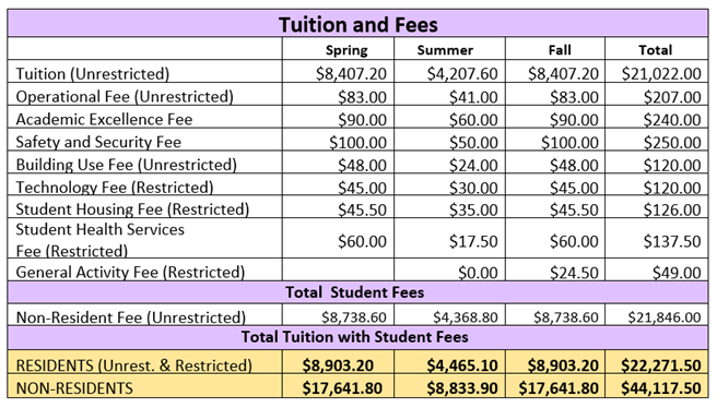 Lsu Tuition Fees