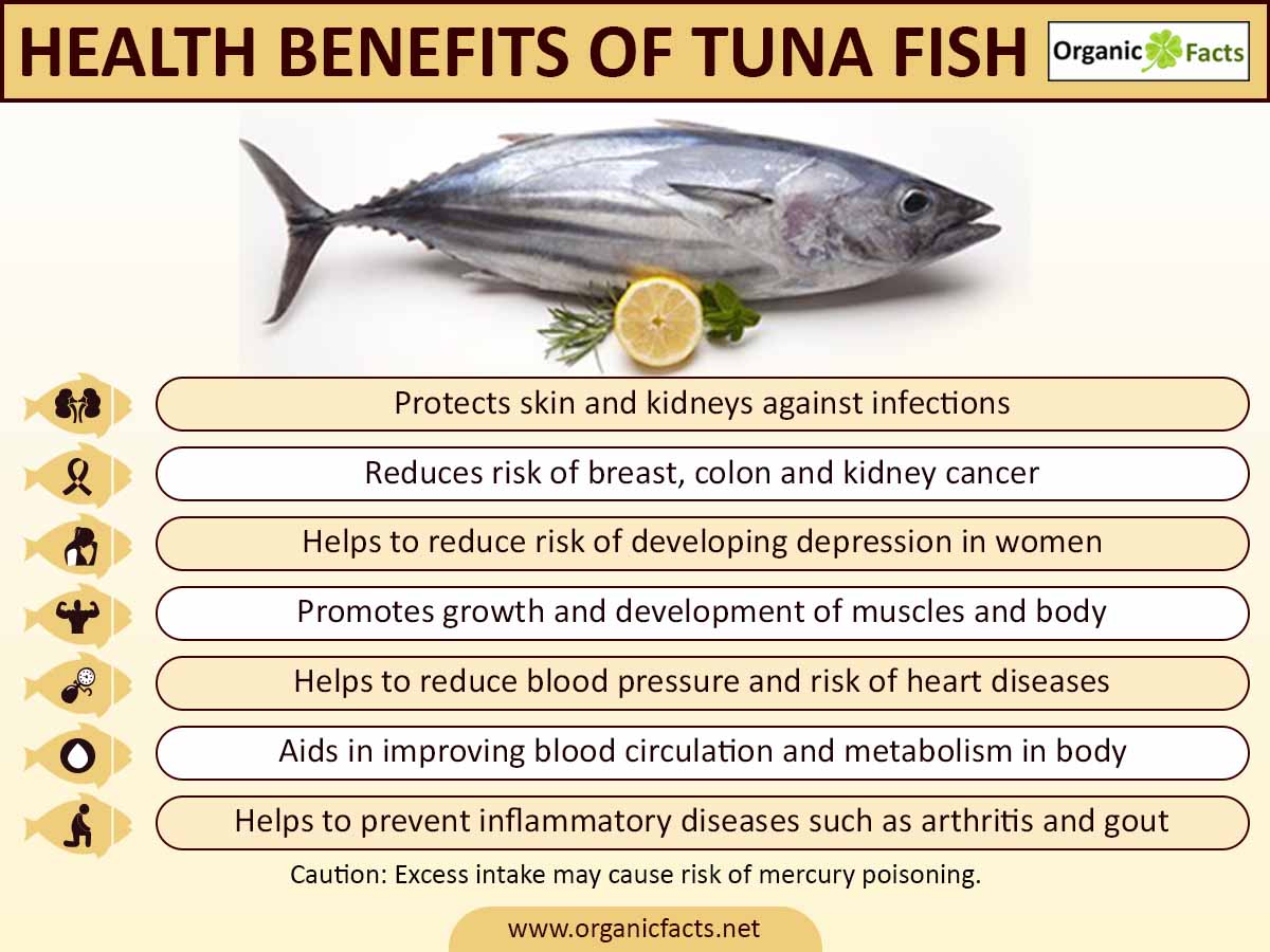 Is Wild Caught Tuna Good for You