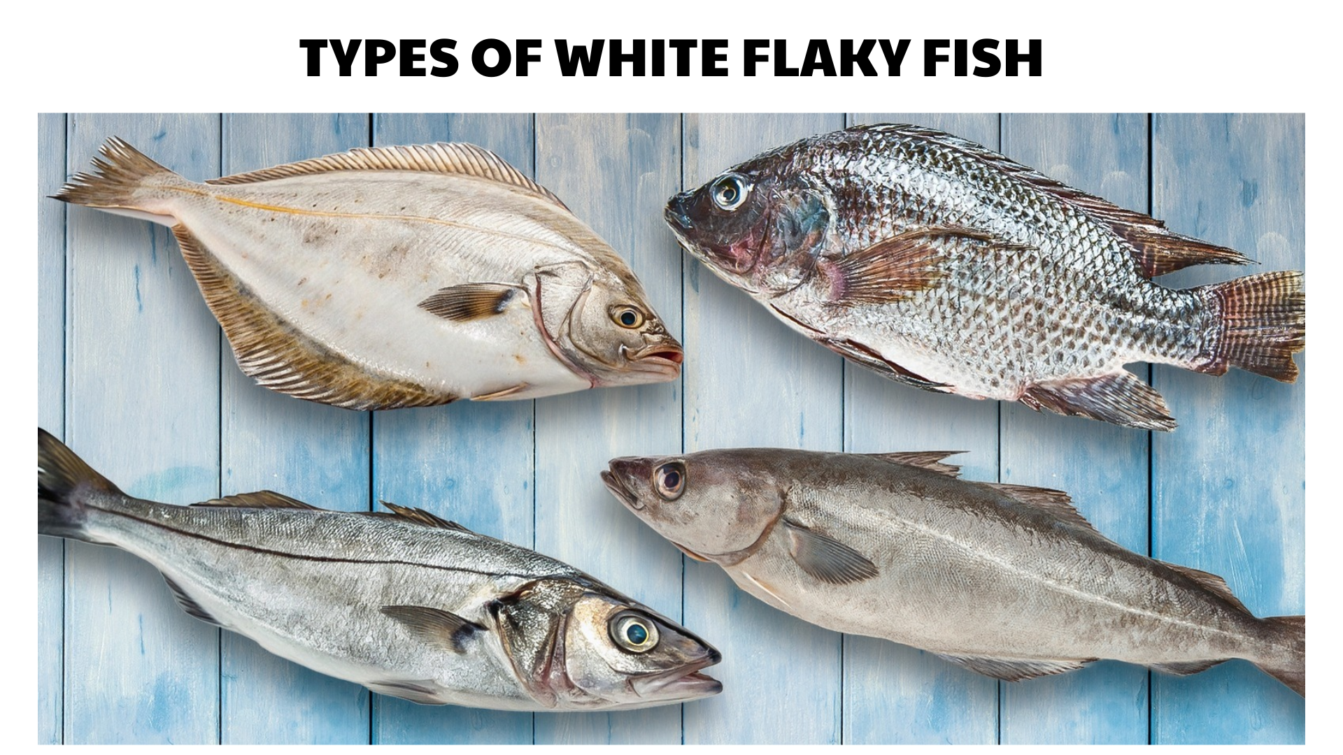 Flaky White Fish Varieties