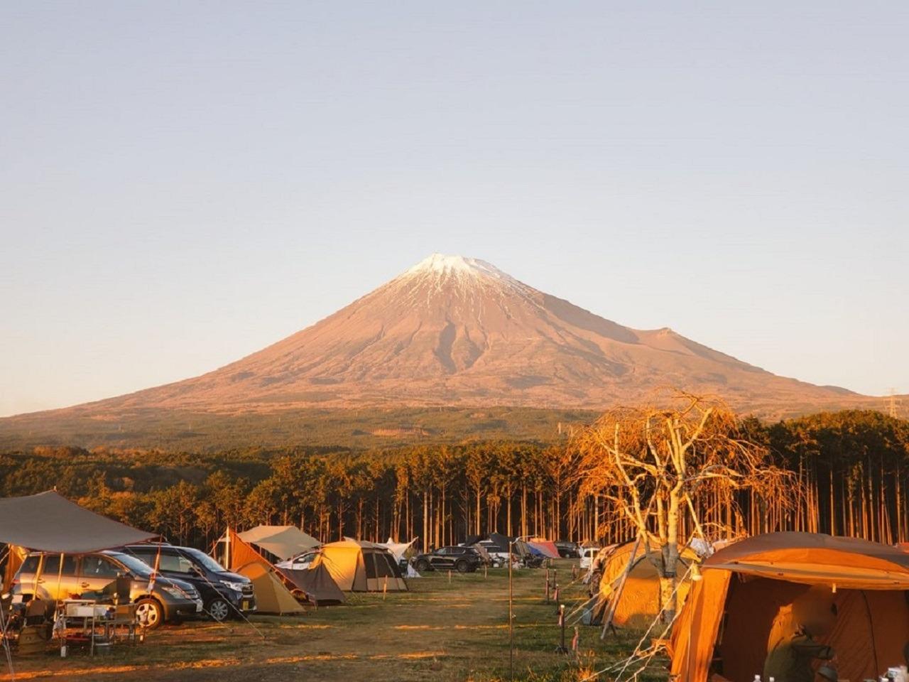 富士山が見えるキャンプ場2026最新比較！絶景の穴場と予約の真相