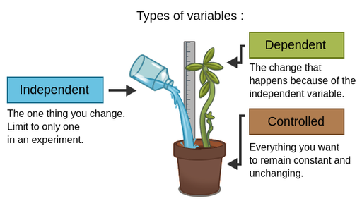 Science Experiments Independent and Dependent Variables