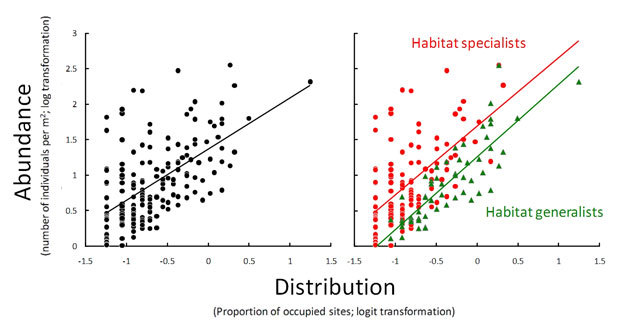 What Is the Relationship Between Natural Abundance and Stability