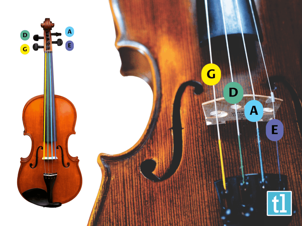 How Many Strings Does a Standard Violin Have