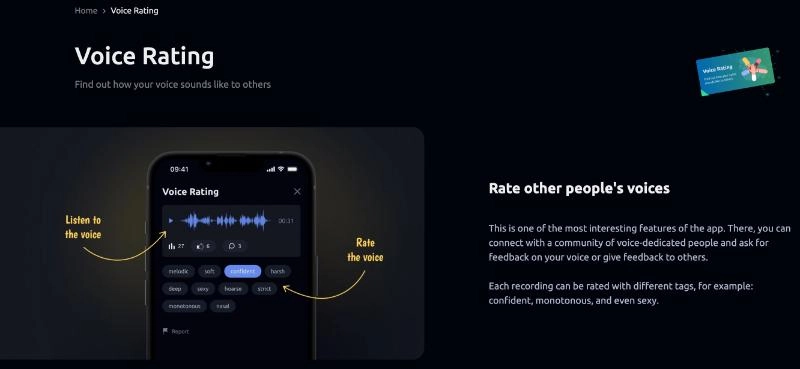 Voice Image Review