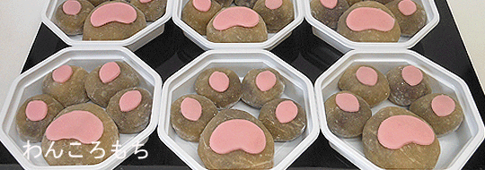 Sns沸騰のわんころもち！噂の新展開と仕掛けられた秘密の全貌