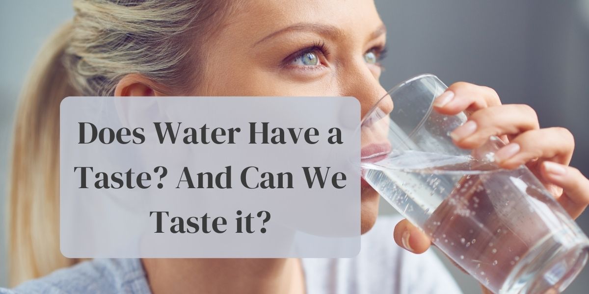 Why Doesn't Water Have a Taste