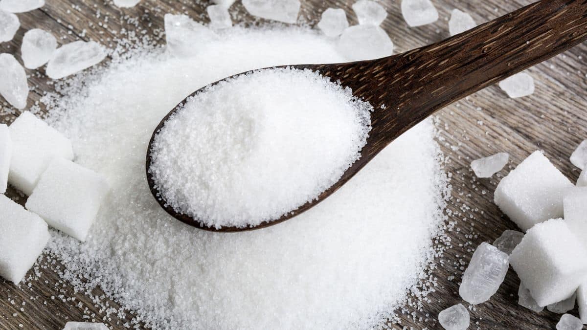 What Is Granulated Sugar Substitute