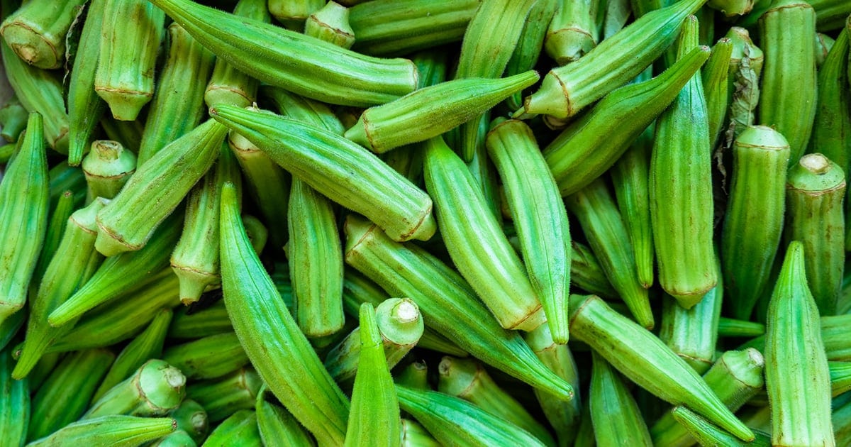 What Is Okra Related To