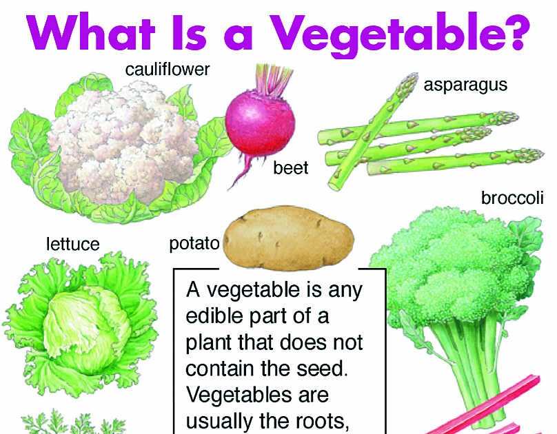 What Is the Definition of a Vegetable