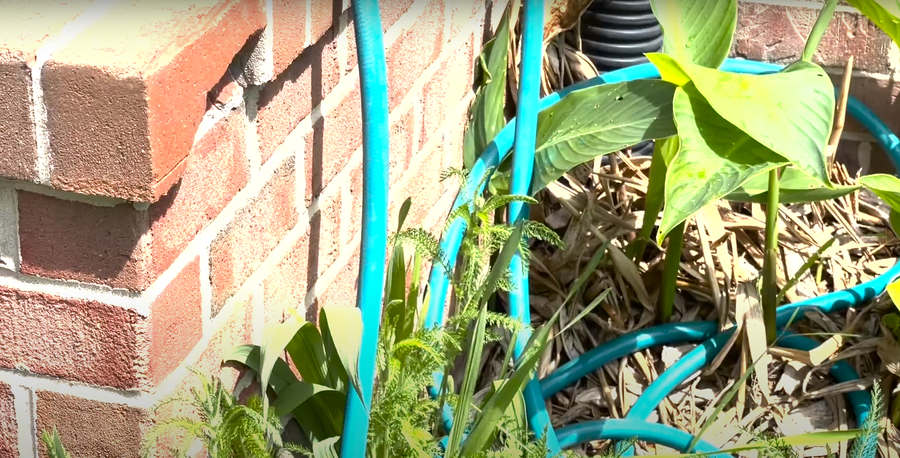 Where Does Hose Water Come From