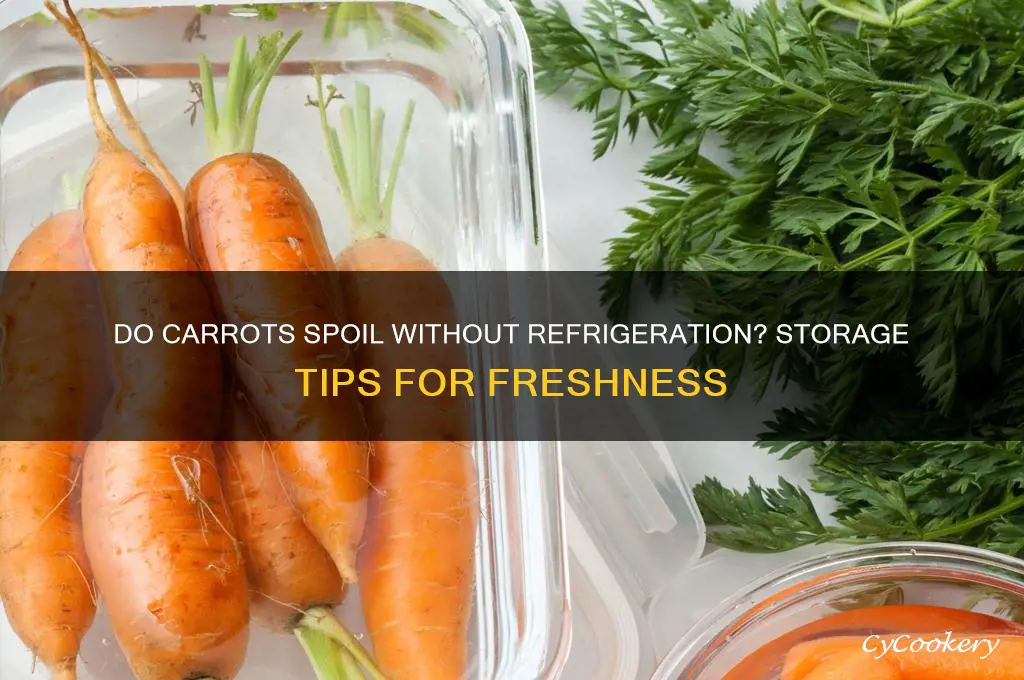 Do Carrots Go Bad in Fridge